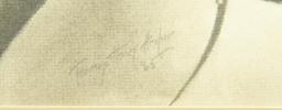 Lot # 4209 - “Man O’ War” charcoal drawing of famous race horse by T. H. Archer. Signed and