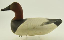 (4) Susquehanna River Canvasback Drakes unsigned all in original paint with gunning wear and