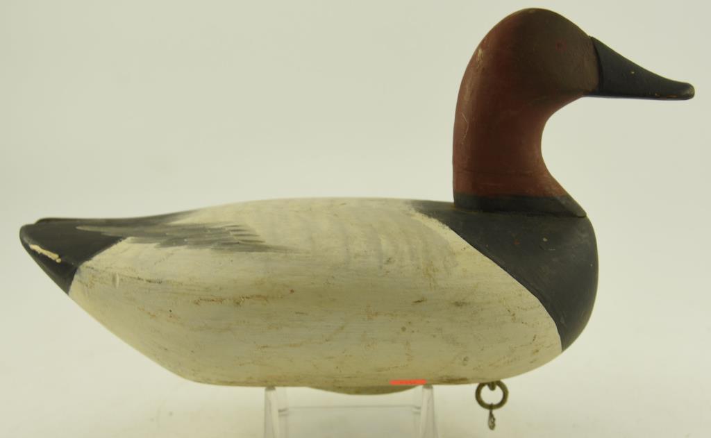 (4) Susquehanna River Canvasback Drakes unsigned all in original paint with gunning wear and