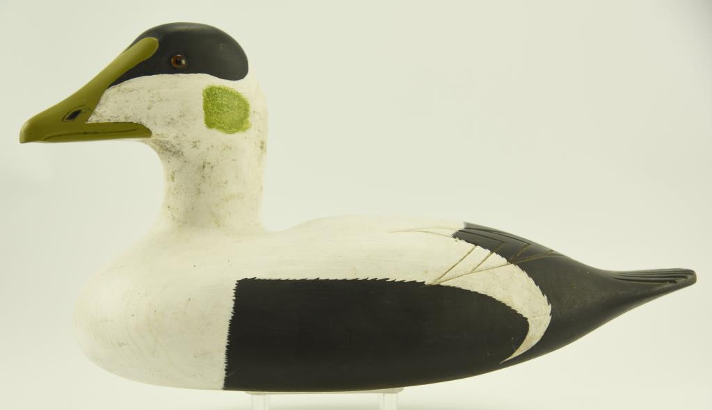 Lot #336 - New England Carved Eider drake decoy in original paint with glass eyes unsigned