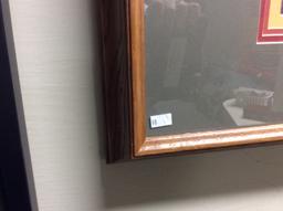 Framed Flower, Signed Painting 15.5x19.5 in.