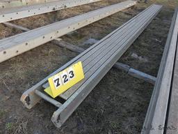 Werner 2420 20' Pick