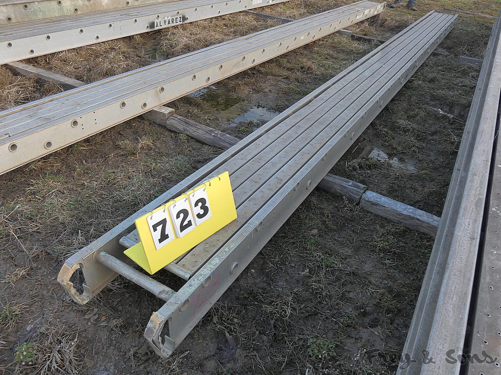 Werner 2420 20' Pick
