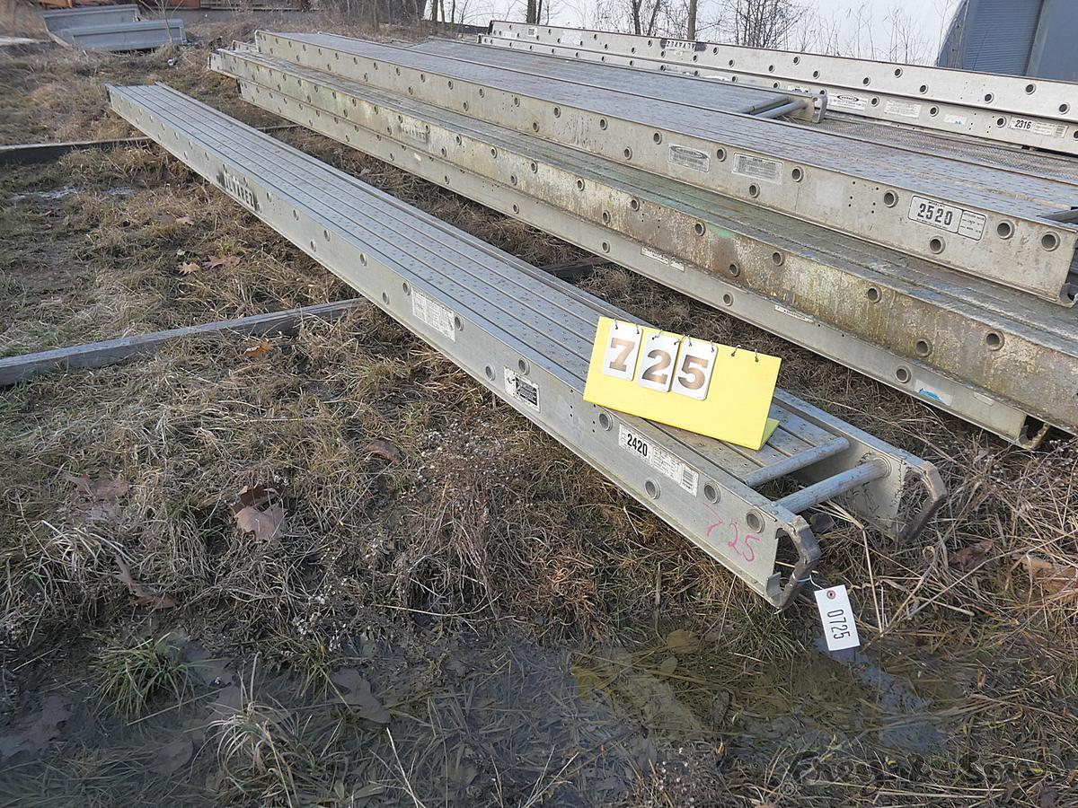 Werner 2420 20' Pick