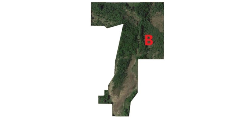 Parcel (B)