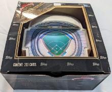 1991 TOPPS STADIUM CLUB SPECIAL STADIUM SET