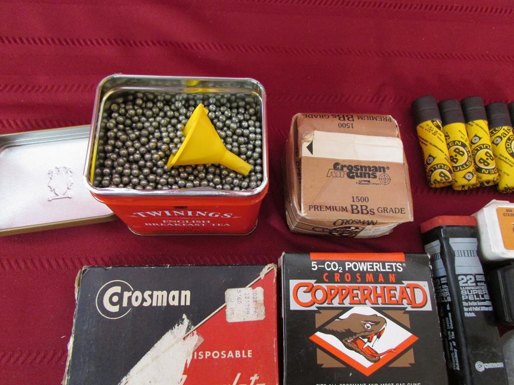BB/Pellet ammo and accessories lot.