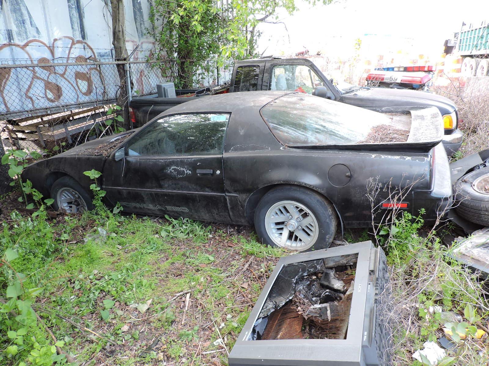 1989 Pontiac Firebird Formula 350 / Automatic / Only 72K Miles