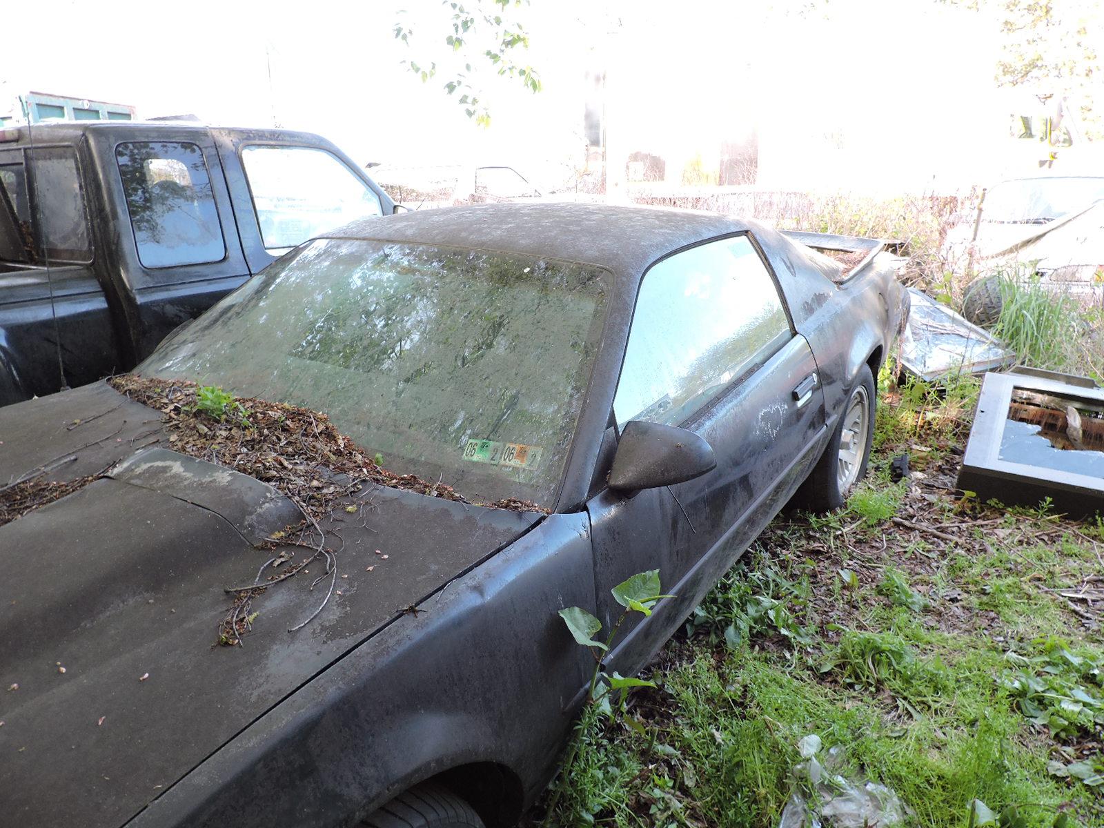 1989 Pontiac Firebird Formula 350 / Automatic / Only 72K Miles