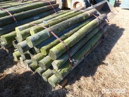 (35) PRESSURE TREATED POST