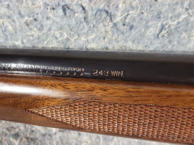 Remington 700 243 Winchester