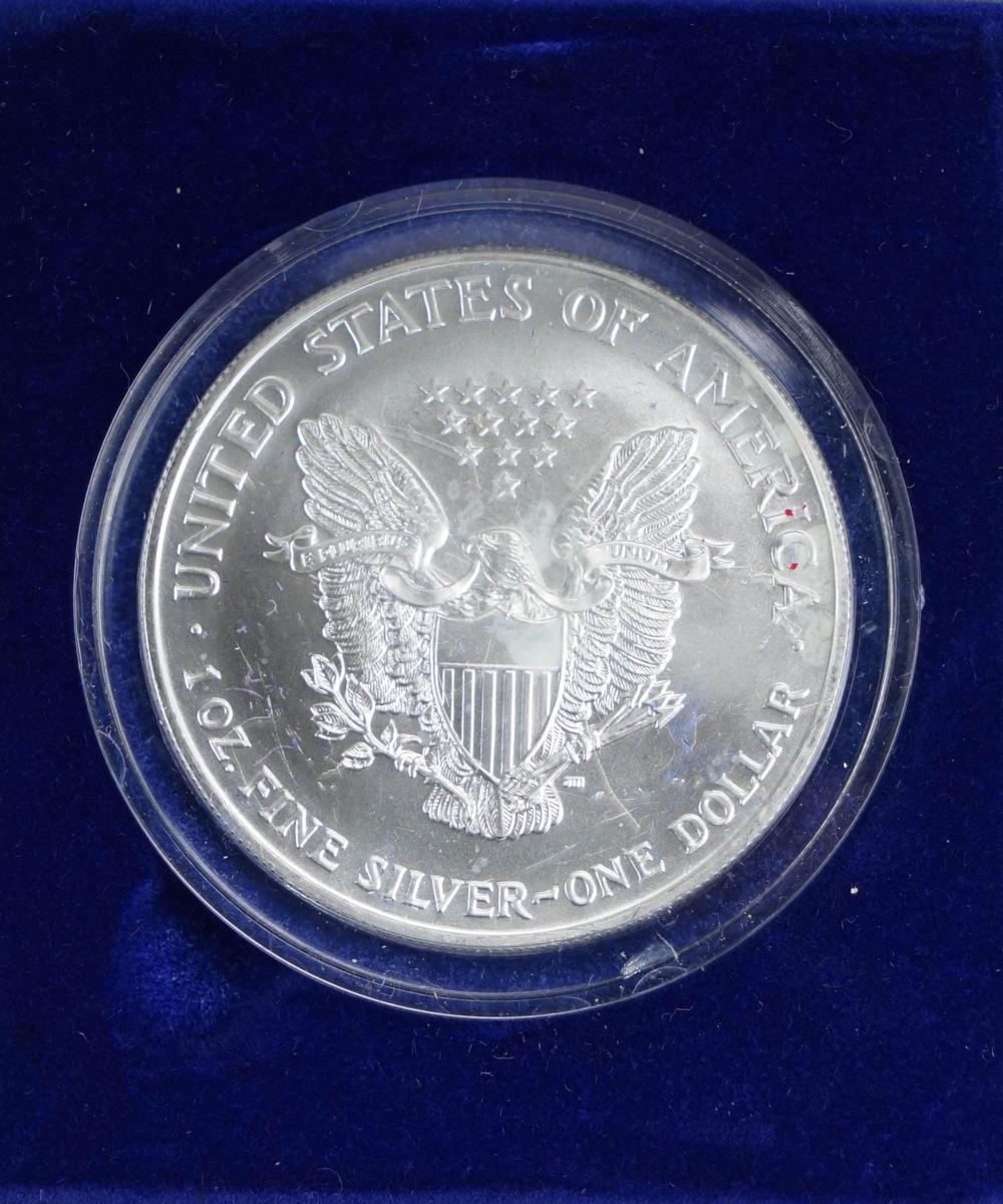 1999 American Colorized Silver Eagle, 1 Troy Oz. Fine Silver