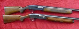 Pair of Semi Auto 12 ga Shotguns