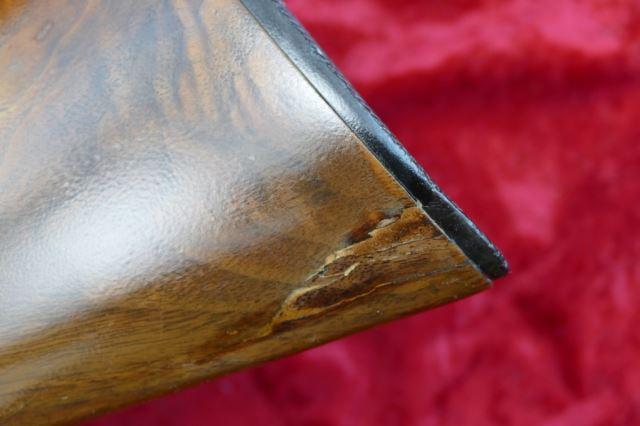 Pair of Semi Auto 12 ga Shotguns