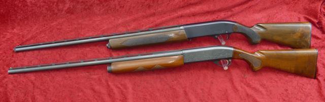 Pair of Semi Auto 12 ga Shotguns