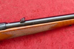 Winchester Wildcat 22 cal Bolt Action Rifle