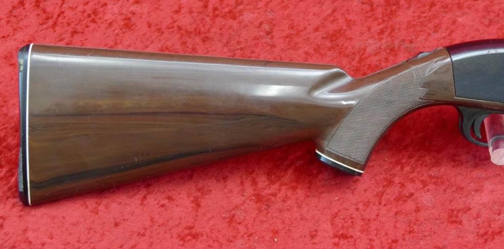 Remington Nylon 66 22 cal Rifle