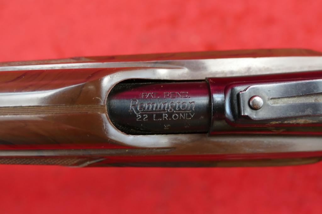 Remington Nylon 66 22 cal Rifle