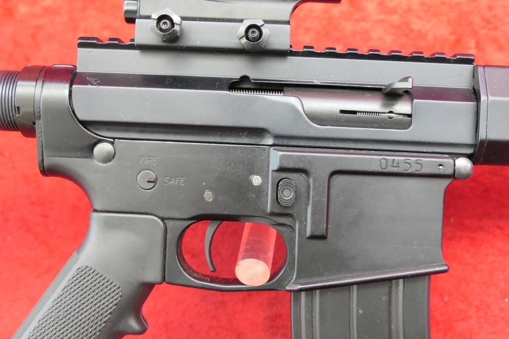 JARD 22 LR AR Style Rifle