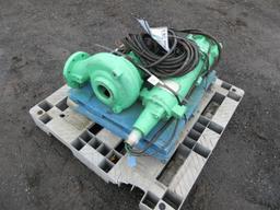 (2) SUBMERSIBLE PUMPS