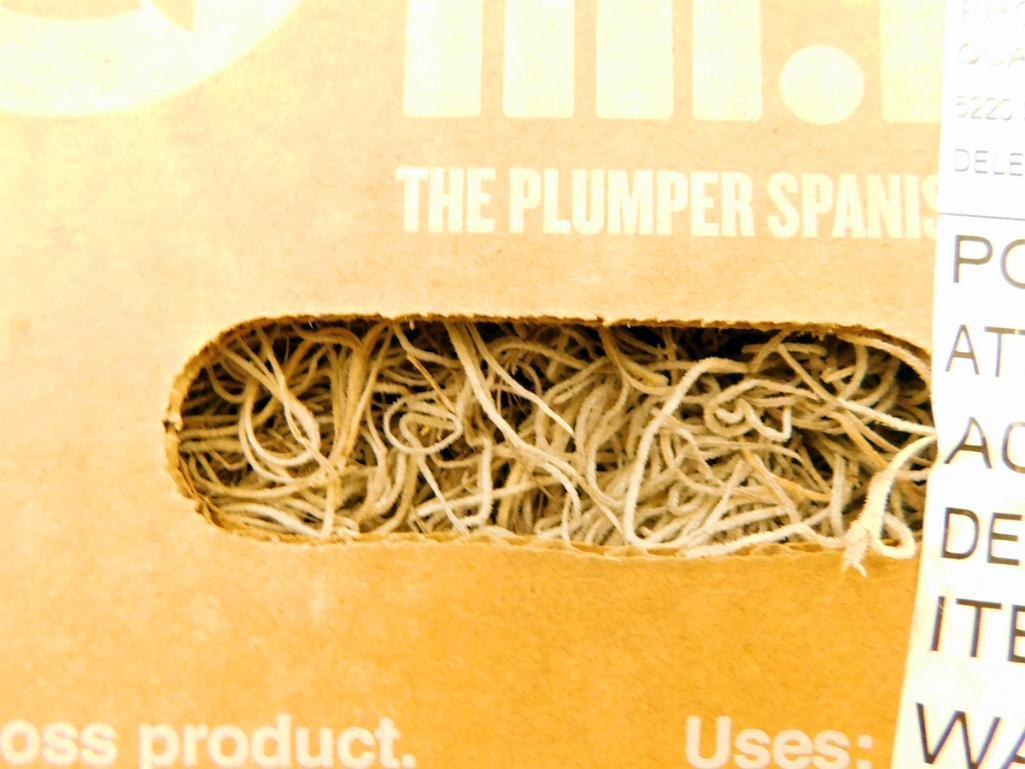 Mr. Big Bulk Spanish Moss, 7 Units