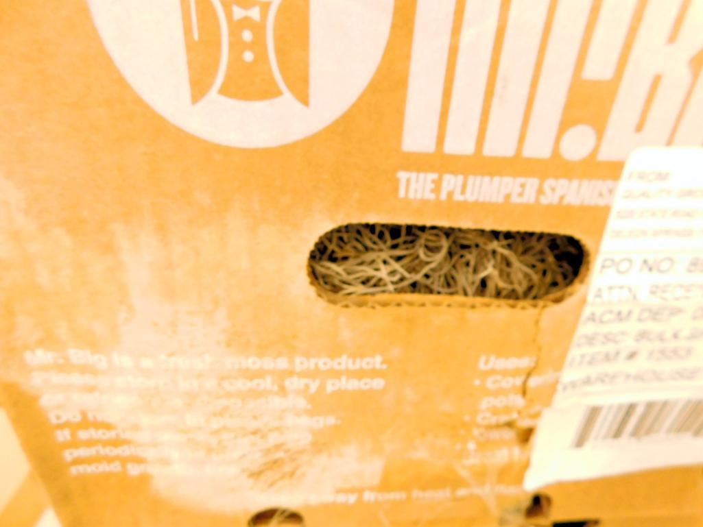 Mr. Big Bulk Spanish Moss, 7 Units
