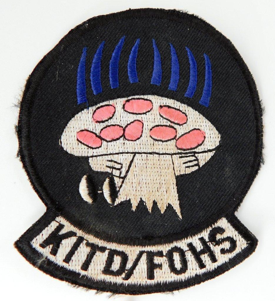 US Vietnam Era Army Special Forces Patches and Tabs, Group of Eleven (11)