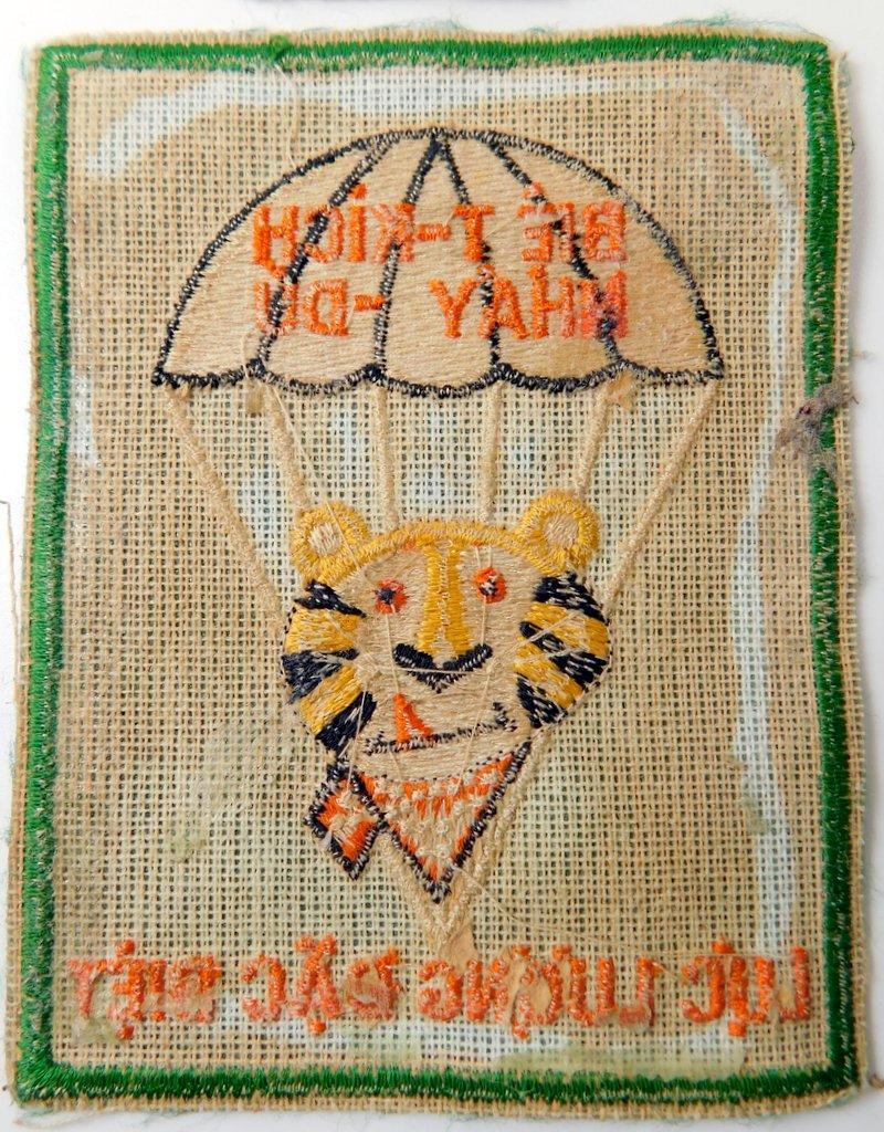 US Vietnam Era Army Special Forces Patches and Tabs, Group of Eleven (11)