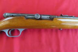 Springfield 87A .22 S,L,LR semi auto rifle ~tag#4718