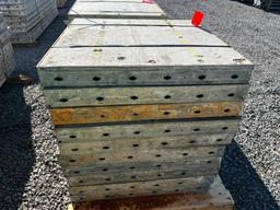(10) 36" x 3' Doka Frami S Xlife Panels