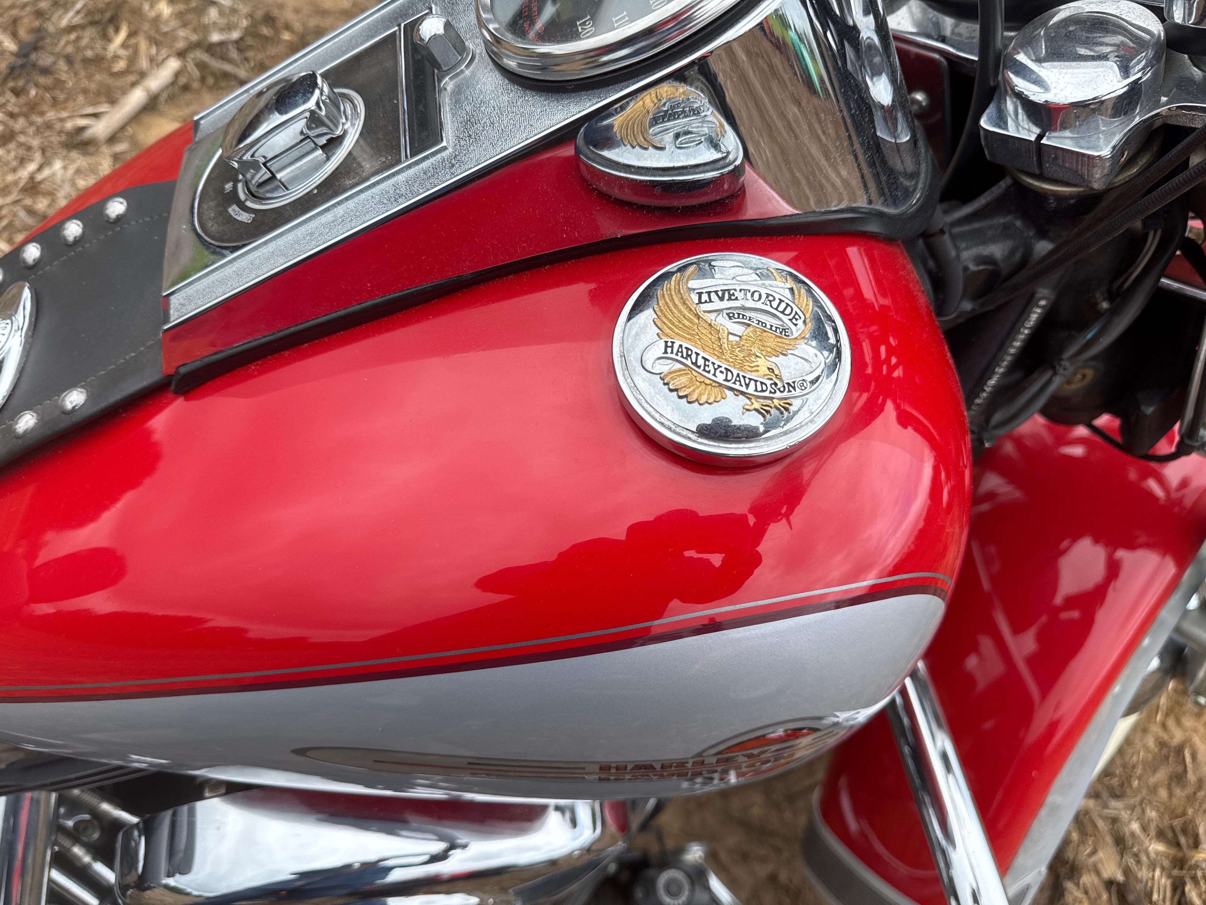 2002 Harley-Davidson Softail  FLSTCI Motorcycle