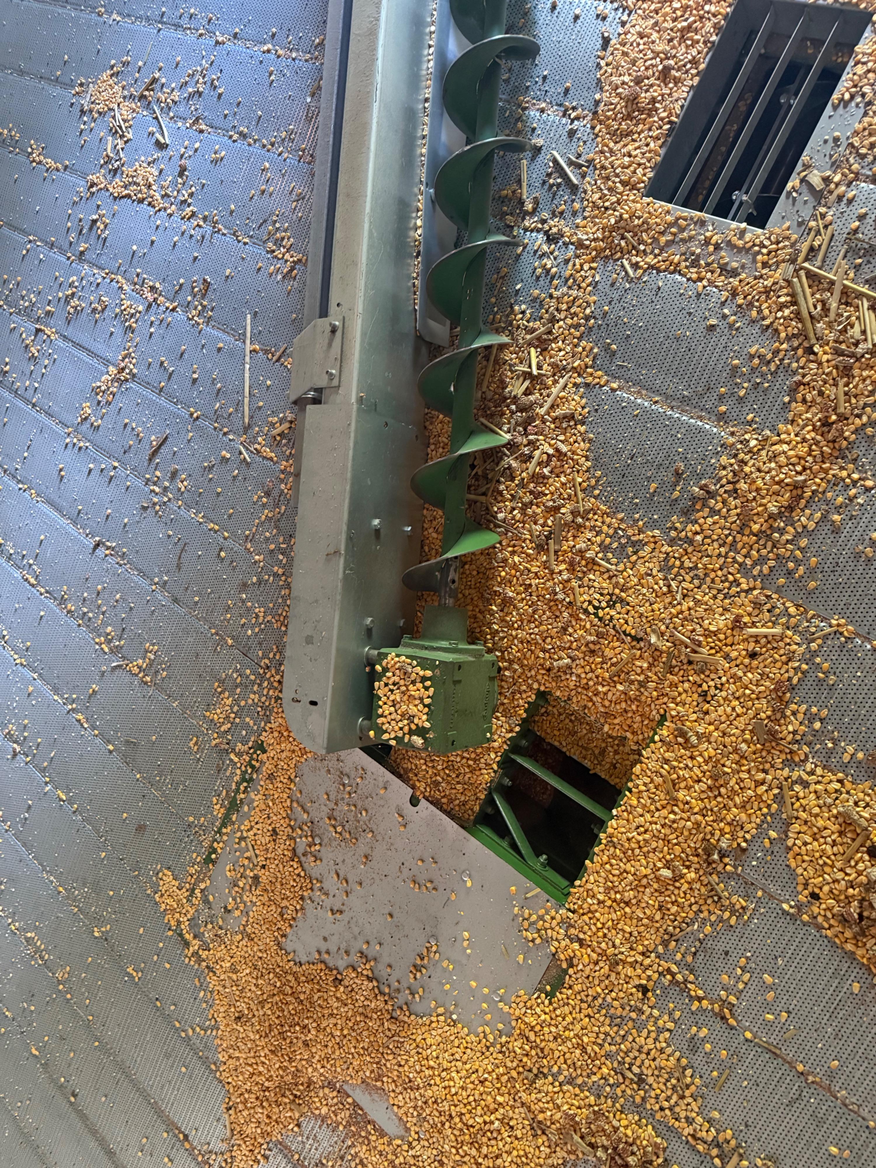 Sukup 10,000 BU Grain Bin