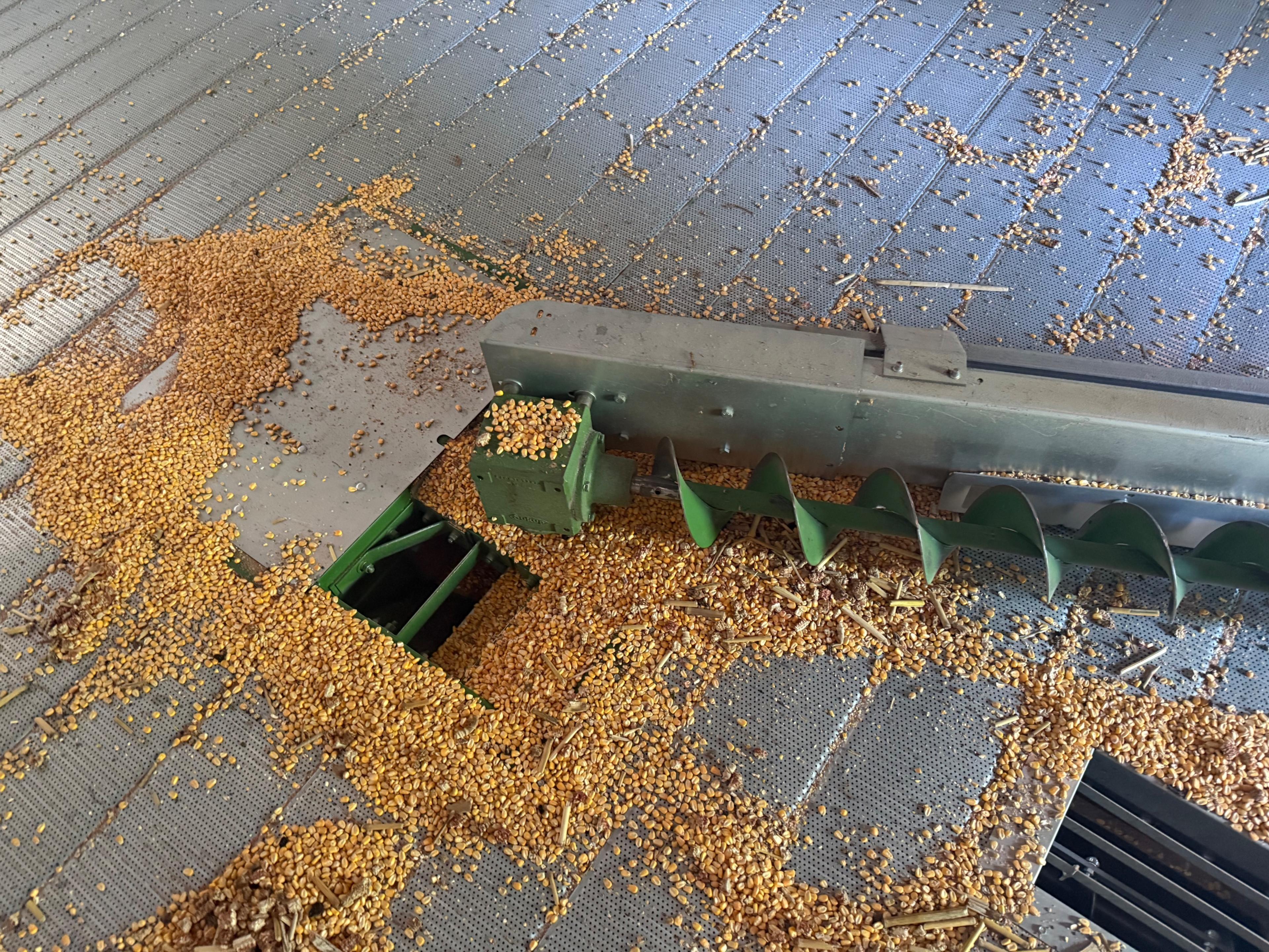 Sukup 10,000 BU Grain Bin