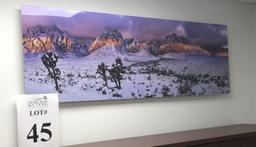 ART PIECE/PHOTO DEPICTING SNOWY DESERT SCENE