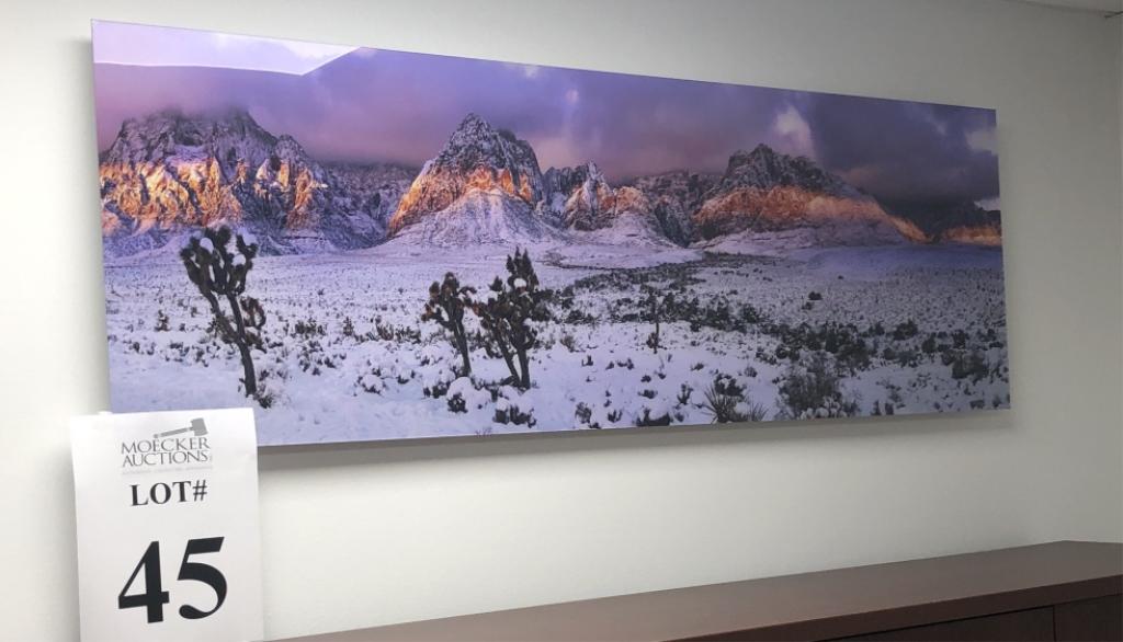 ART PIECE/PHOTO DEPICTING SNOWY DESERT SCENE