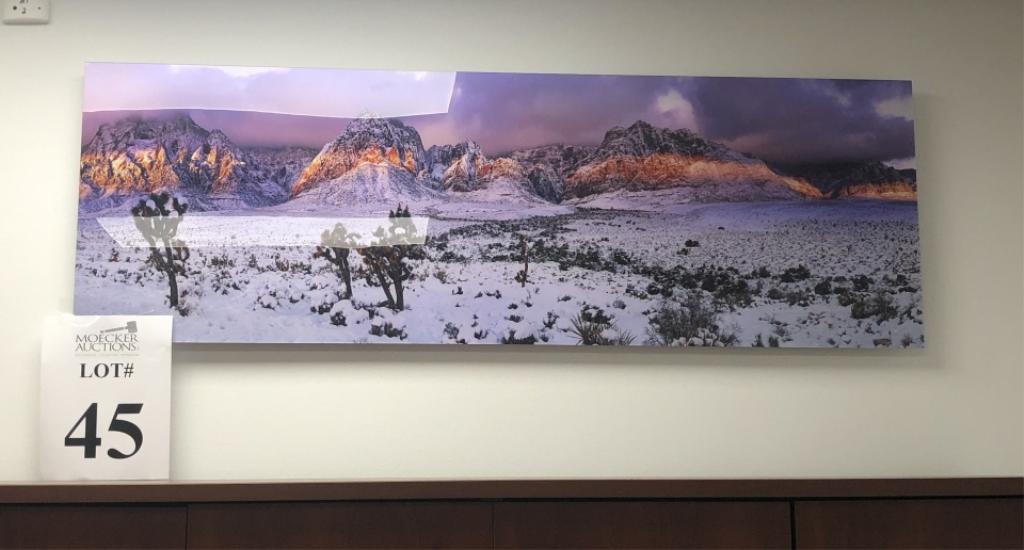 ART PIECE/PHOTO DEPICTING SNOWY DESERT SCENE