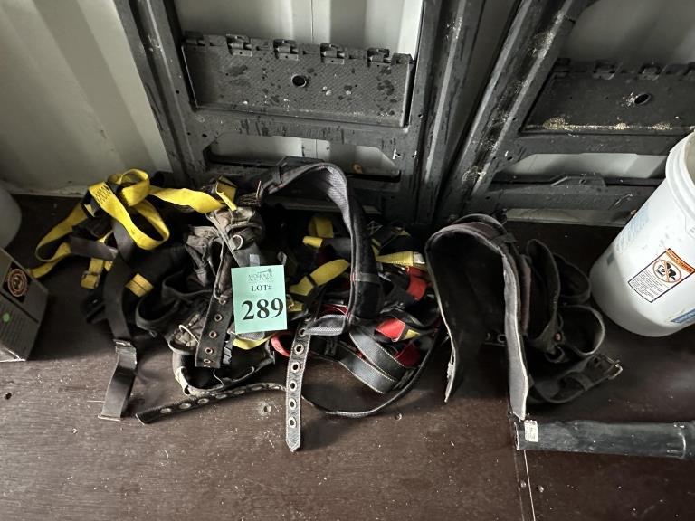 LOT CONSISTING OF SAFETY HARNESSES