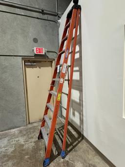 WERNER FIBER GLASS AND ALUMINUM LADDER 10'