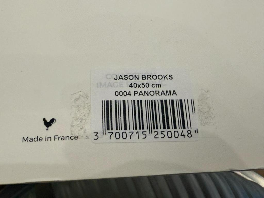 IMAGE REPUBLIC JASON BROOKS PRINT