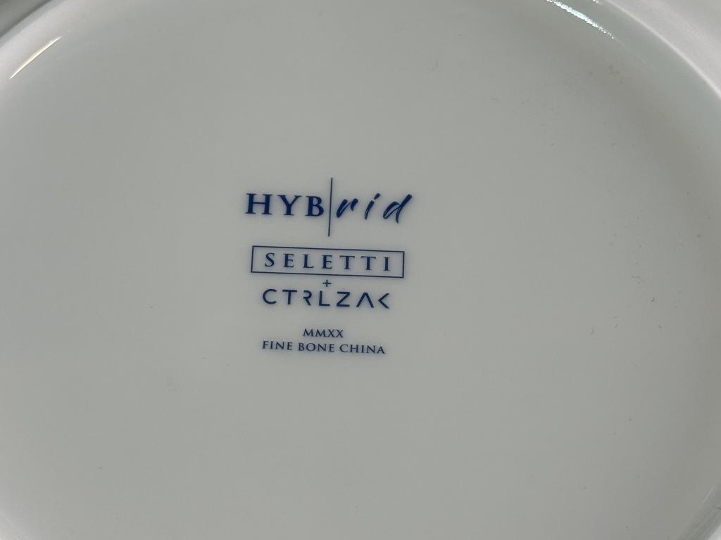 DINNERWARE HYBRID HOBYO DINNER PLATE (NEW)