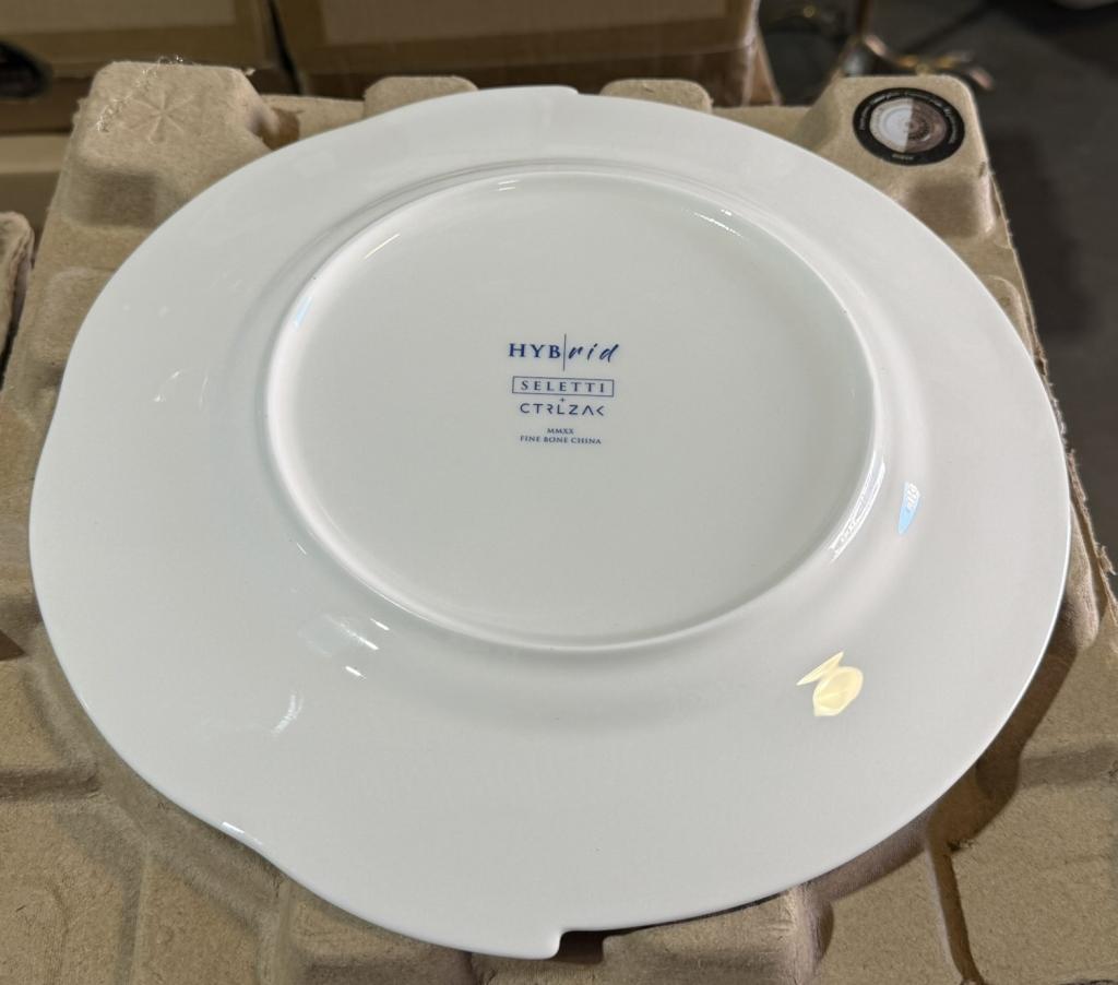 DINNERWARE HYBRID HOBYO DINNER PLATE (NEW)