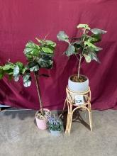 FAUX POTTED PLANTS