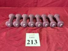 POWER SYSTEMS 2 LB. DUMBBELLS