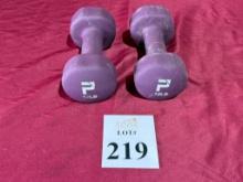 POWER SYSTEMS 12 LB. DUMBBELLS
