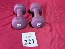 POWER SYSTEMS 12 LB. DUMBBELLS