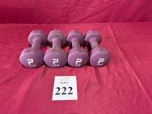 POWER SYSTEMS 12 LB. DUMBBELLS