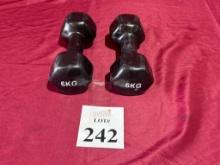 6KG / 13.22 LB. DUMBBELLS