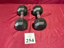 POWER SYSTEMS 20 LB. DUMBBELLS