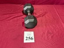 POWER SYSTEMS 20 LB. DUMBBELLS