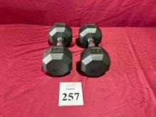 POWER SYSTEMS 20 LB. DUMBBELLS